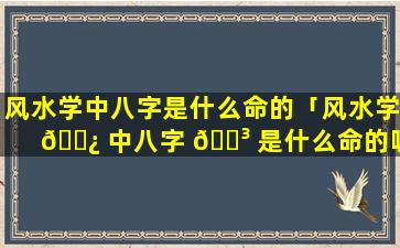 风水学中八字是什么命的「风水学 🌿 中八字 🌳 是什么命的呢」